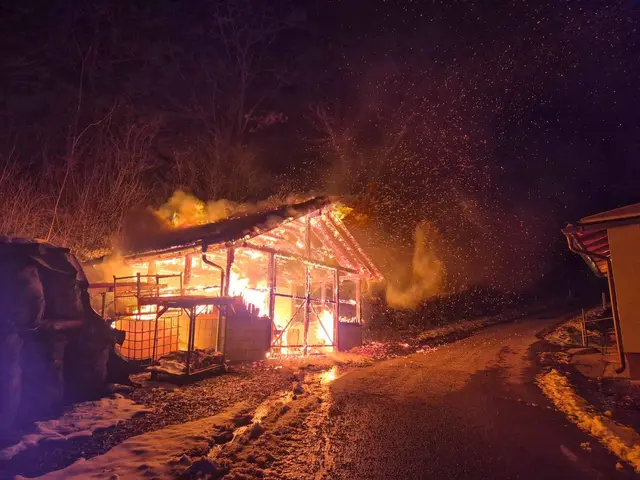 Foto: www.einsatzdoku.at