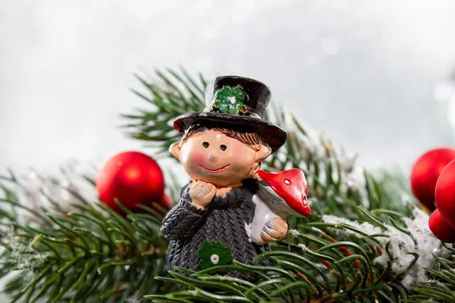 NÖ Rauchfangkehrer – Brandschützer und Glücksbringer (Symbolbild) | Foto: Pixabay