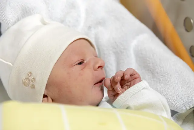 Foto: Wiener Gesundheitsverbund / Bernhard Noll