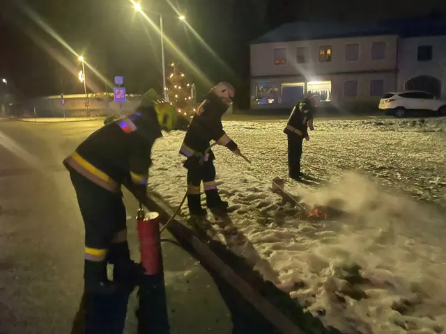 Die Freiwillige Feuerwehr Langenlebarn konnte gemeinsam mit der Horstfeuerwehr den Brand rasch unter Kontrolle bringen.  | Foto: DOKU NÖ