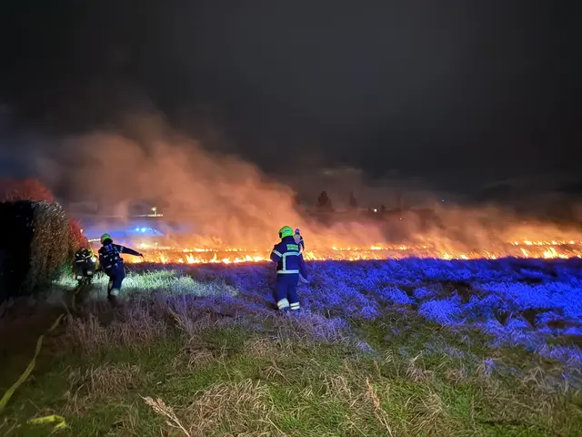 Am Abend des 31. Dezember 2025 kam es in Rannersdorf zu einem Feldbrand. 