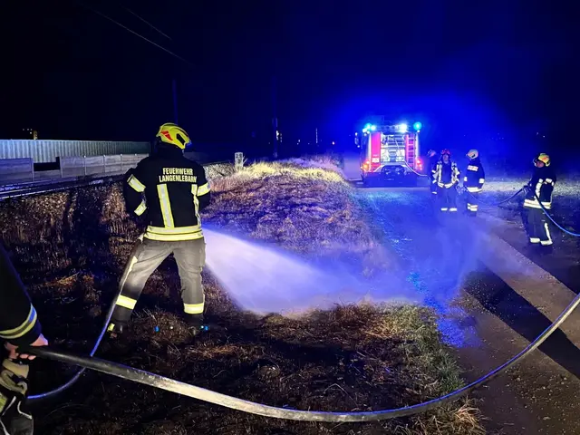 Eine verirrte Silvesterrakete setzte neben der Franz-Josefs-Bahn einen Flurbrand in Gang. | Foto: DOKU NÖ