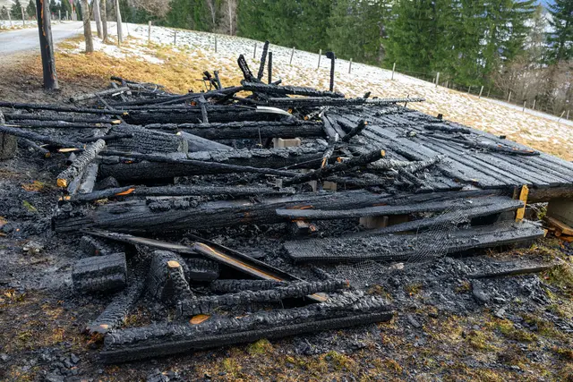 Foto: TEAM FOTOKERSCHI / WERNER KERSCHBAUMMAYR