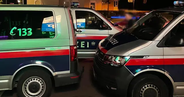  Ein Beamter wurde im Zuge der Festnahme vom 20-Jährigen im Gesichtsbereich verletzt. (Symbolfoto) | Foto: MeinBezirk/Evelyn Wanz
