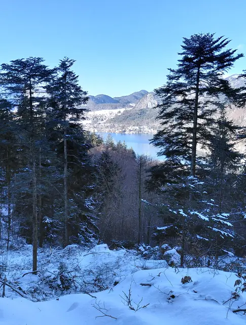 Ein Blick zurück zum Wolfgangsee  | Foto: H.Bachinger