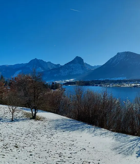 Foto: H.Bachinger