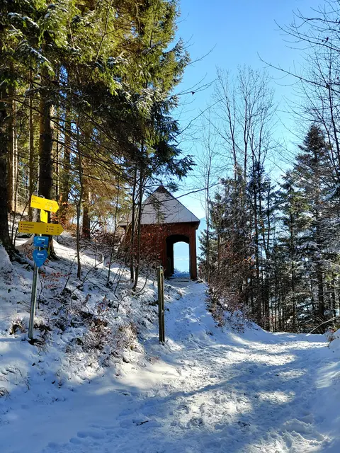 Foto: H.Bachinger