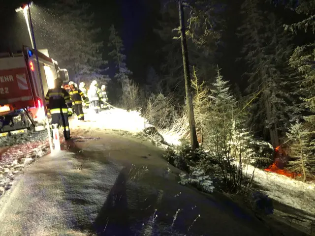 Zwei Feuerwehren rückten zur Bergung an. | Foto: FF Zauchen