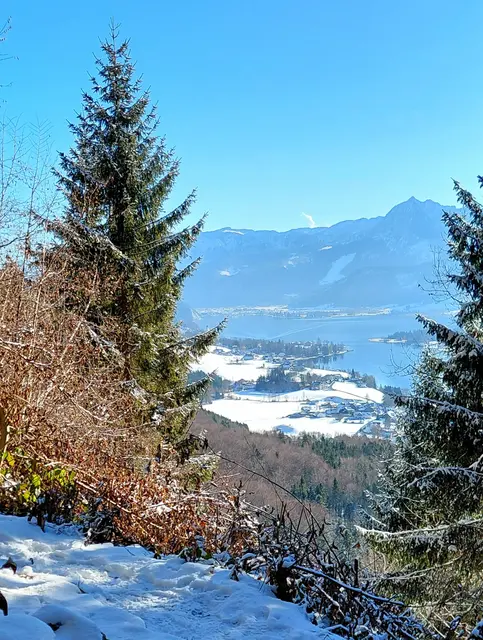 Foto: H.Bachinger