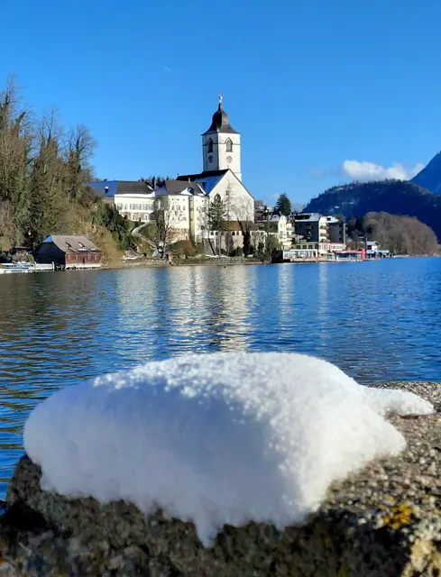 Foto: H.Bachinger