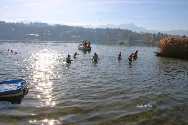 Neujahrsschwimmen Velden, 2026