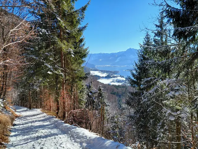 Von hier ab geht's wieder bergab  | Foto: H.Bachinger