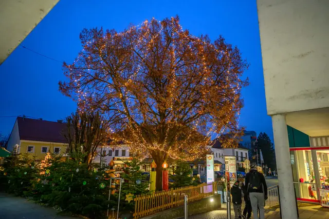 Foto: Simlinger Wolfgang/cityfoto