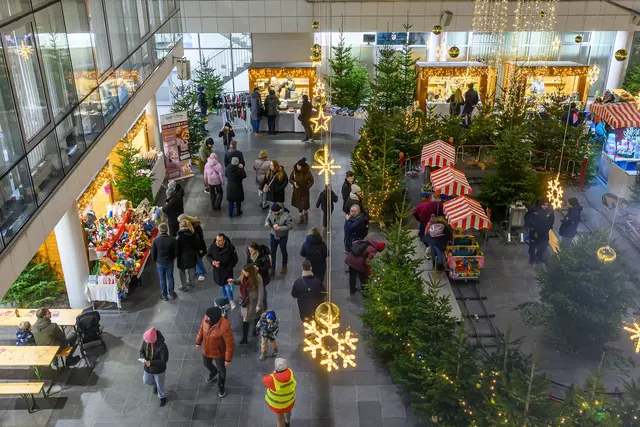 Foto: Simlinger Wolfgang/cityfoto