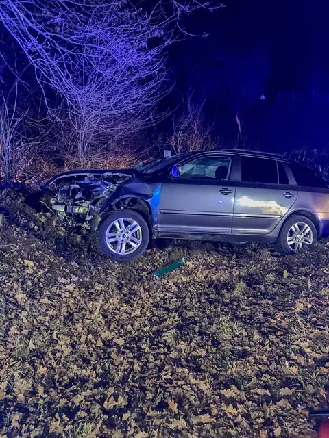 Ein Pkw war zunächst gegen einen Brückenpfeiler gekracht und danach gegen einen Baum. | Foto: Feuerwehr Eisenzicken