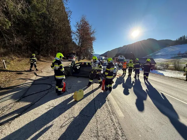 Die beiden Autofahrer kollidierten miteinander auf der Veitscherstraße (L102).  | Foto: FF Veitsch