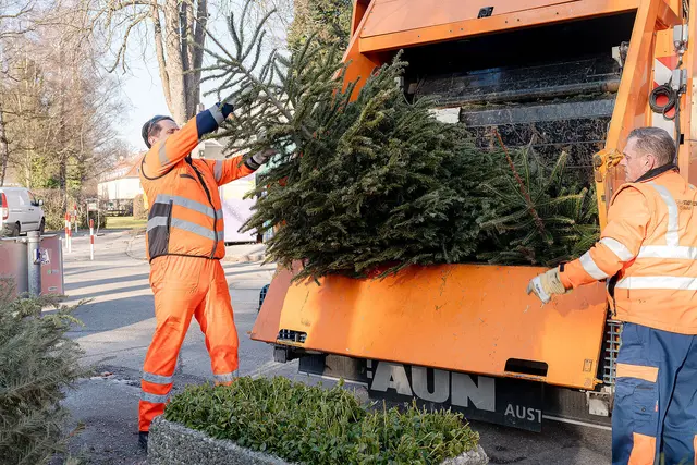 Der Christbaum hat seine „Pflicht“ erfüllt, er darf weg. Damit die Entsorgung einfach klappt, bietet das städtische Abfallservice eine kostenlose Sammlung der ausgedienten Christbäume an. | Foto:  Stadt:Salzburg / Alexander Killer