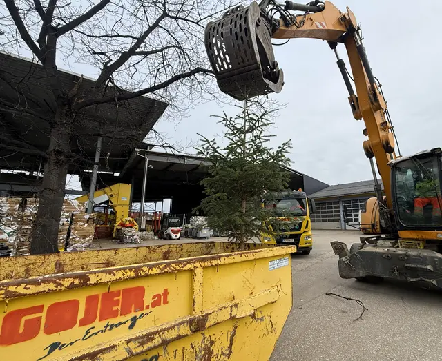 Gojer startet wieder die Christbaumentsorgung: Bis Ende Jänner kann man kostenlos seinen Baum zu den Übernahmezeiten in Kohldorf abgeben – das Unternehmen spendet pro Baum 2 Euro an das Rote Kreuz. | Foto: Andreas Jerlich