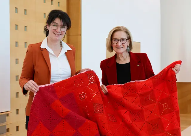 Monika Nemetz-Roither überbrachte Landeshauptfrau Johanna Mikl-Leitner einen Häkelteppich | Foto:  NLK Pfeiffer