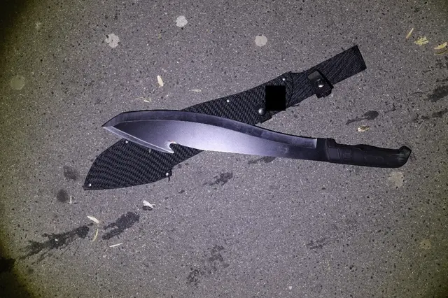 Bei einem jugendlichen, mutmaßlichen Dieb konnte die Polizei eine Machete sicherstellen | Foto: LPD-Wien
