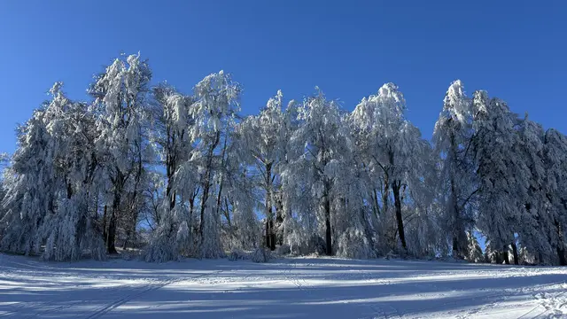 Winterliche Pracht oberhalb von Dürnstein !