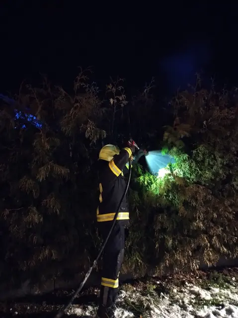 Ein Feuerwerkskörper führte zu einem Brand in dieser Hecke. | Foto: FF Pettenbach