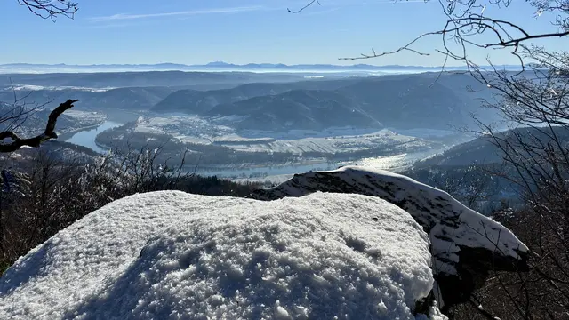 Die Donau-Schlinge bei Rossatz zu Füßen; der Schneeberg am Horizont.