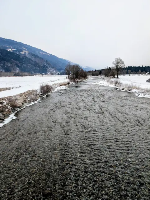 Foto: MeinBezirk/Carmen Rienzner