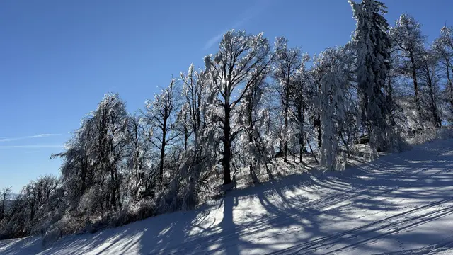 Sehr schön; nicht wahr ?