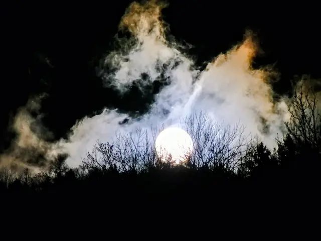 Vollmond. | Foto: Andrea Handler Gschweidl