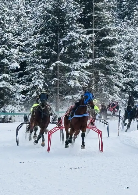 Foto: Nikolaus Kogler