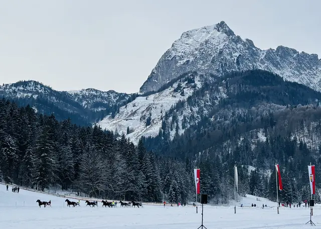 Foto: Nikolaus Kogler