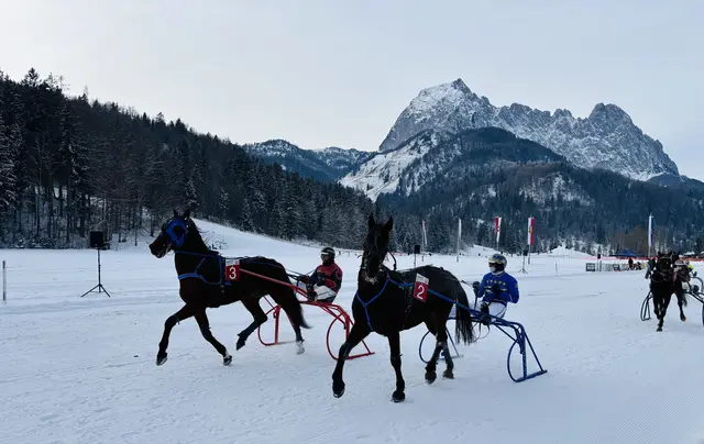 Foto: Nikolaus Kogler