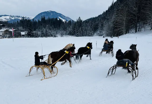 Foto: Nikolaus Kogler