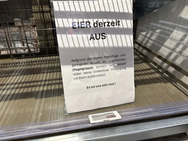 Ein Schild informierte die Kundinnen und Kunden bei Billa über den Eier-Engpass. | Foto: Johannes Reiterits/MeinBezirk