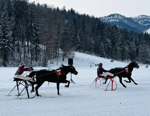 Foto: Nikolaus Kogler