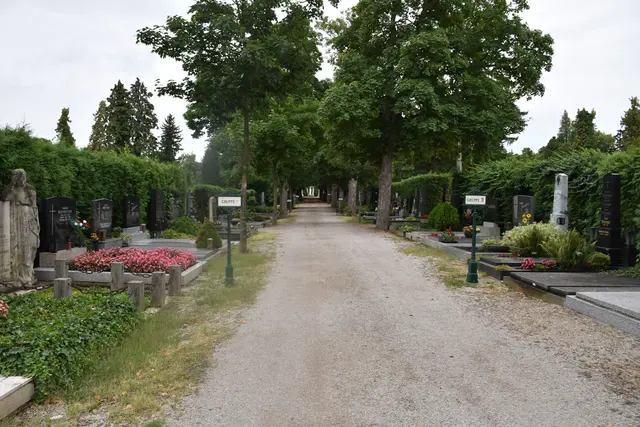 Foto: Alexandra Goll