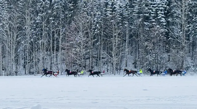 Foto: Nikolaus Kogler