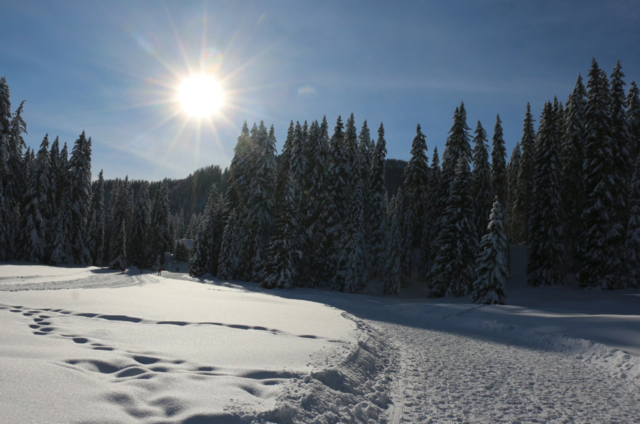 Foto: Region Mittelkärnten
