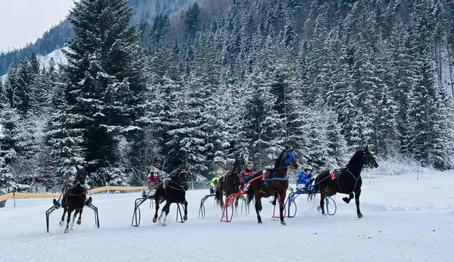 Foto: Nikolaus Kogler