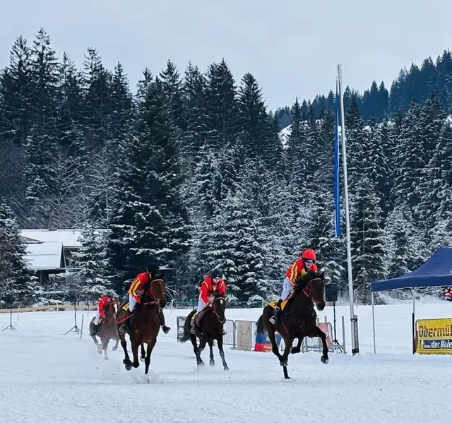 Foto: Nikolaus Kogler