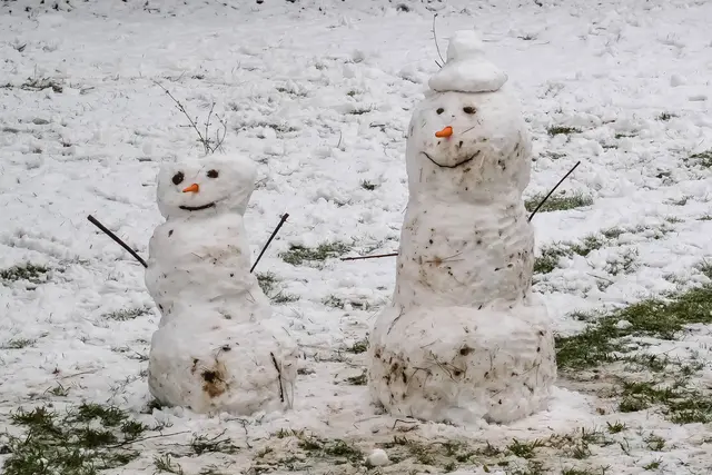 Frostige Morgenkahle Bäumeerste Schneedecken und das sanfte Licht der kurzen Tage prägen diesen Monat.