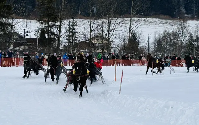 Foto: Nikolaus Kogler