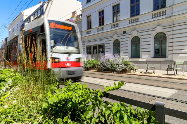 Falschparkende kosten nicht nur Nerven, sondern den Wiener Linien sowie Fahrgästen auch viel Zeit. | Foto: PID/Christian Fürthner