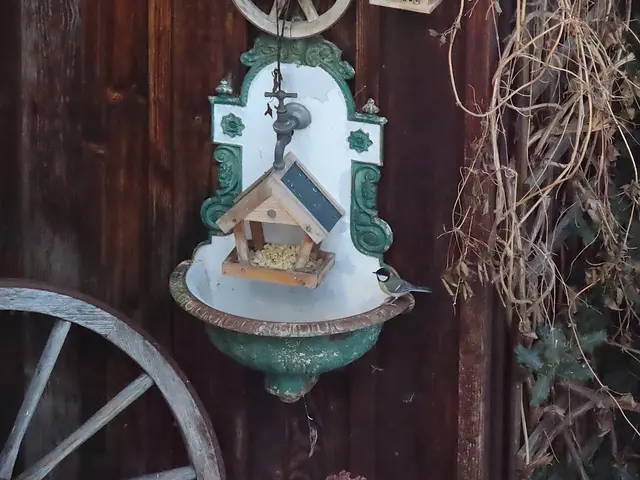 Futter für die Vögel. | Foto: Alfred Schmutz