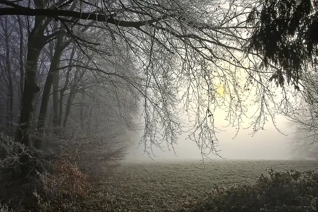 Unser Leben ist etwas sehr kostbares
Schätze dies und vergiss es nie.
Foto: Glaser 