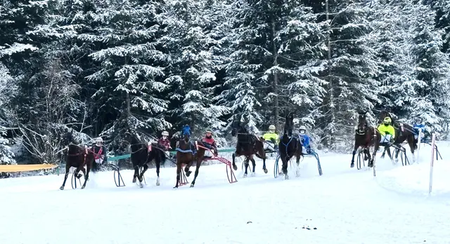 Foto: Nikolaus Kogler