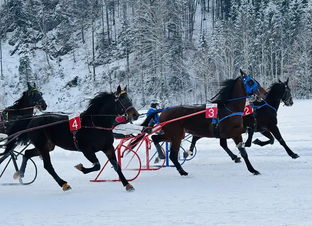 Foto: Nikolaus Kogler