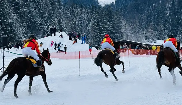 Foto: Nikolaus Kogler