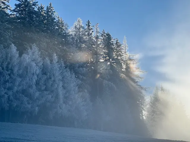 WENN SICH DER NEBEL LICHTET
